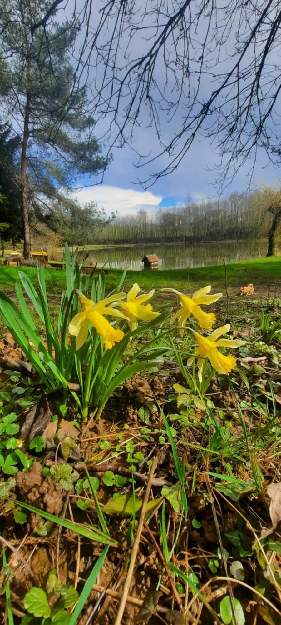 Bed and Breakfast Les Etangs Du Moulin D'Harcy Lonny Esterno foto